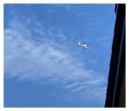 517089695