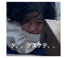 517116331