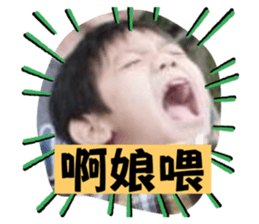 517146493