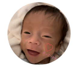 517155981