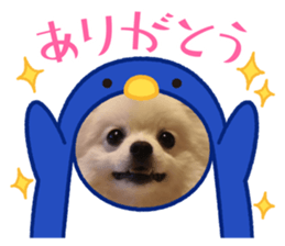 517157944