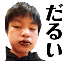 517353339