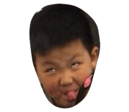517369779