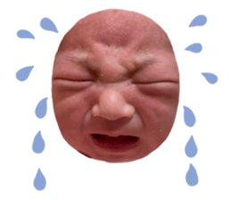 517439653