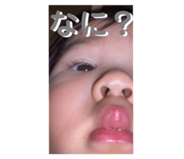 517443814