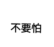 517535231