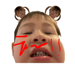517597813