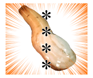 517673271