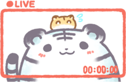 517738232