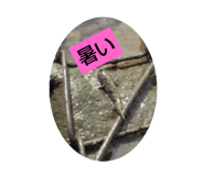 517738886