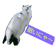 517738888