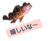 517738892