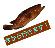 517738893