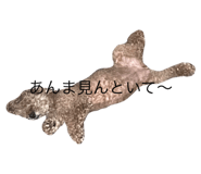 517771683