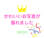 517802244