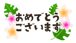 517835116