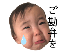 517836880