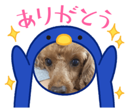 517855516