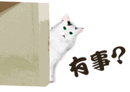 517860167