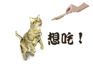 517860170