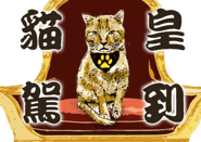 517860171