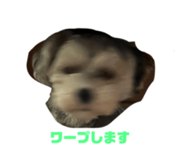 517885311