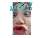 517896219