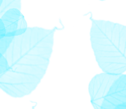 517910302