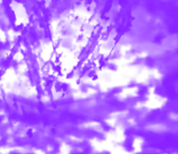 517924089