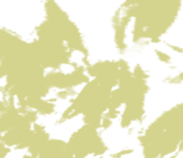 517924462