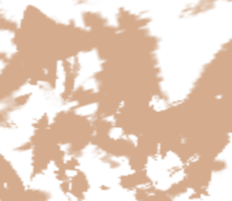 517924463