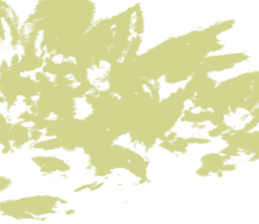 517924469