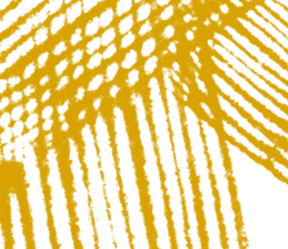 517924498