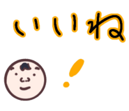 518119444