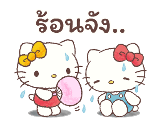 ลายที่ 37