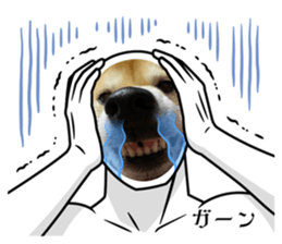 518398998