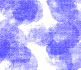 518462904
