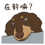 518583606