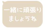 518595546