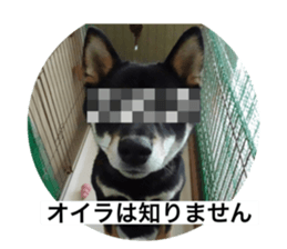 518635722