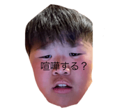 518676322