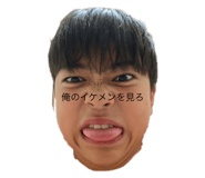 518676323