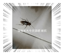 518676417