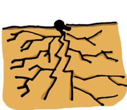5186890