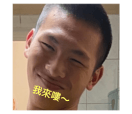 518693331