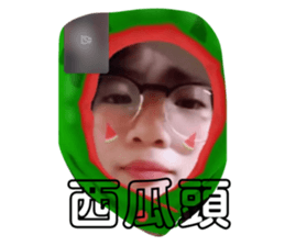 518753772
