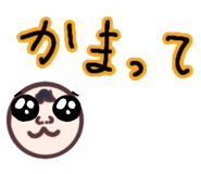 518864531