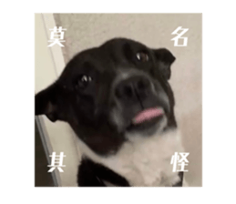 518934908