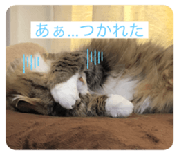 518935160