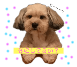 518935302